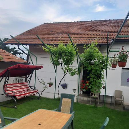 Vila Mir Pirot Exterior foto