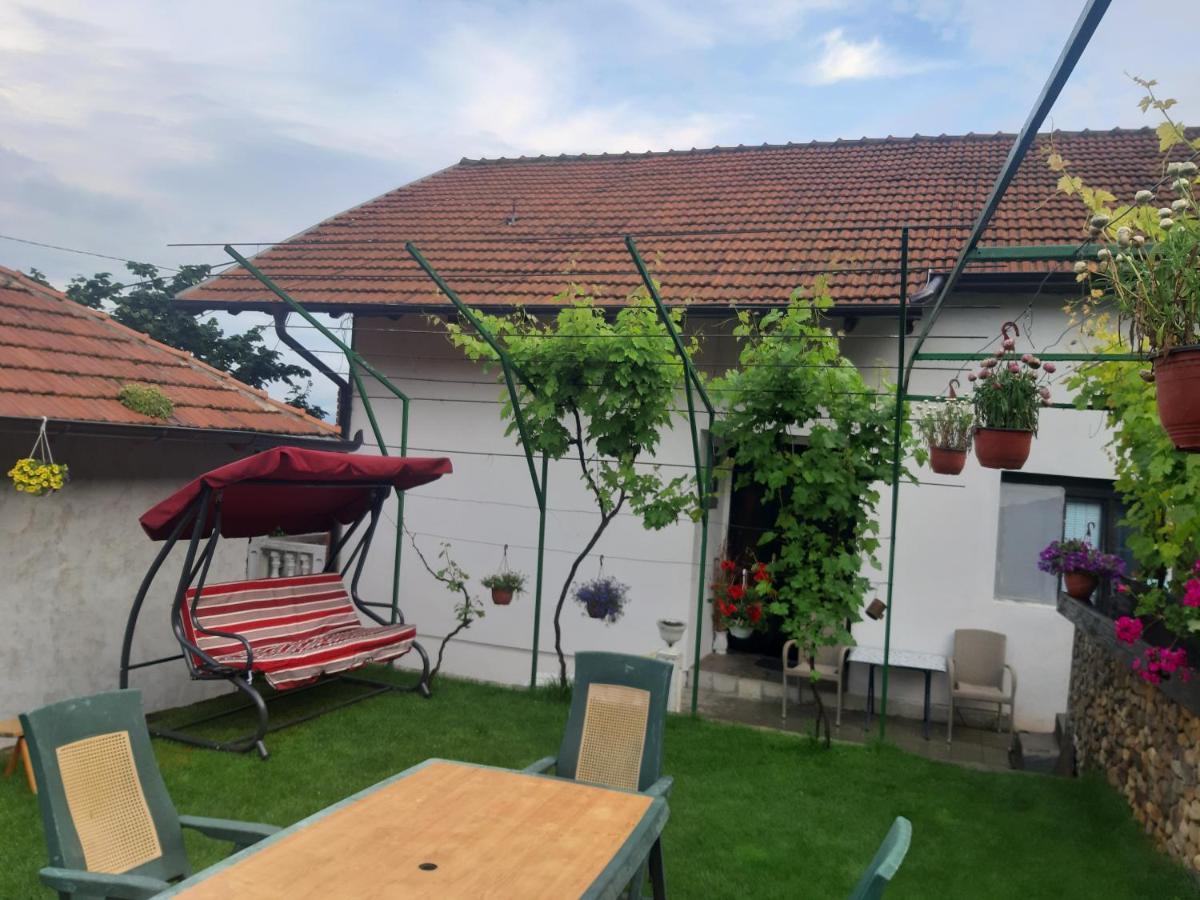 Vila Mir Pirot Exterior foto